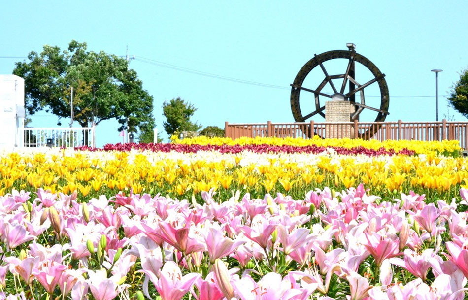 ゆりの里公園
